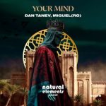Dan Tanev, Miguel (RO) – Your Mind