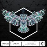 TINMusic – Dream