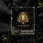 Precious James, Danny DeLeon – Shine