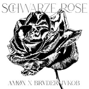 brvder jakob, AMØN – Schwarze Rose