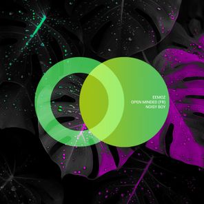 Open Minded (FR), Eemoz – Noisy Boy