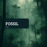 Jacquard – Fossil