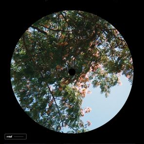 Cordeliers – Wanna Feel Like It’s Summer