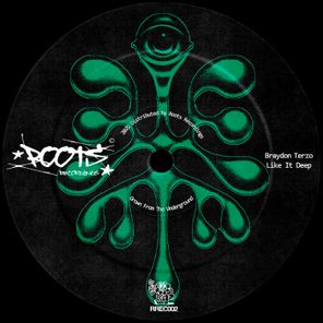Braydon Terzo – Like It Deep