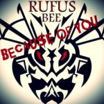 Rufus Bee – Because of You