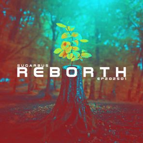 SugarBus – Reborth