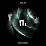 Ignacio Arfeli – Control Your Dreams