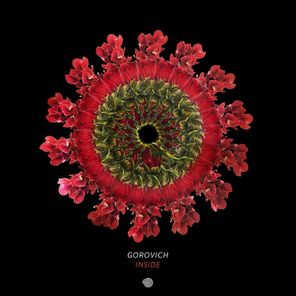 Gorovich – Inside