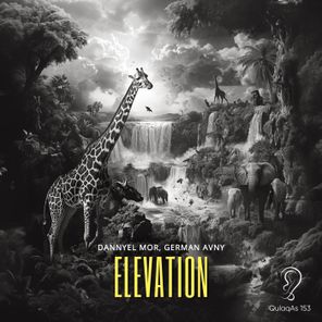 Dannyel Mor, German Avny – Elevation