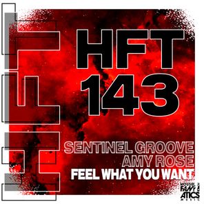 Sentinel Groove, Amy Rose – Feel What You Want