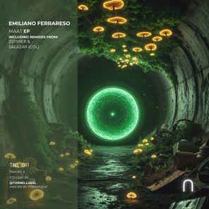 Emiliano Ferrareso, Zstimer – Maat