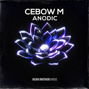 XtetiQsoul, Max SA – Anodic