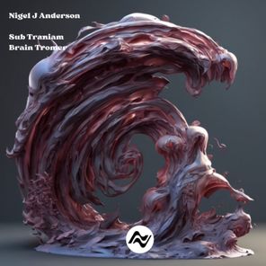 Nigel J Anderson – Sub Traniam