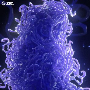 ZEC. – Chromatids