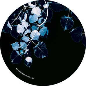 Bluetrain, Prince Morella – Frozen Rose