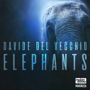 Davide Del Vecchio – Elephants