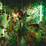 Casanora – The Year of the Jellyfish