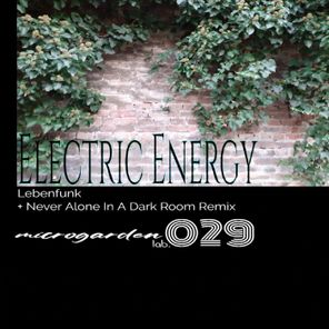 Lebenfunk – Electric Energy EP