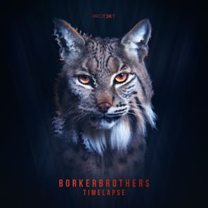 BorkerBrothers – Timelapse