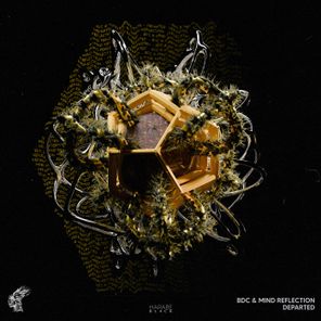 BDC, Mind Reflection – Departed