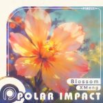 XMeng – Blossom