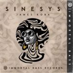 James Koba – Sinesys