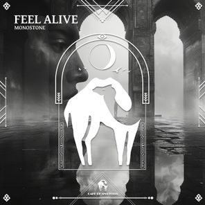 Cafe De Anatolia, Monostone – Feel Alive