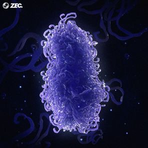 ZEC. – Genome