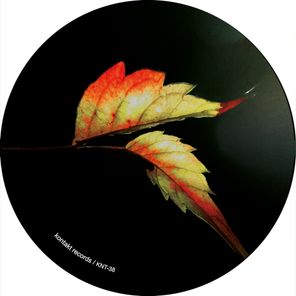 Shed, Silver Ash – Calantas