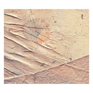Pye Corner Audio – Lake Deep Memory