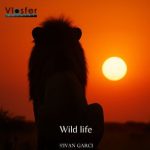 Ivan Garci – Wild Life