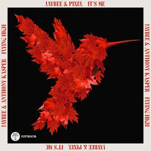 Pixel, Anthony Kasper – It’s Me / Flying High