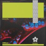 Club Calimari – U Got