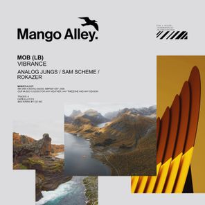 Analog Jungs, Sam Scheme – Vibrance