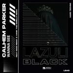 NOZZ, Hank The Gorilla – Wanna See