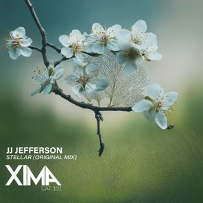 JJ Jefferson – Stellar