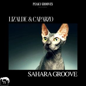 Caparzo, LIZALDE – Sahara Groove