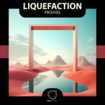 Liquefaction – Provide