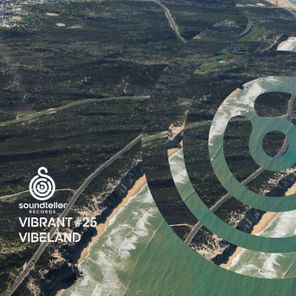 Radek K, Meskalino – Vibrant Vibeland #25