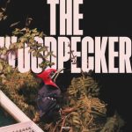 Arkaik – The Woodpecker