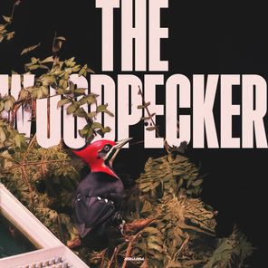 Arkaik – The Woodpecker