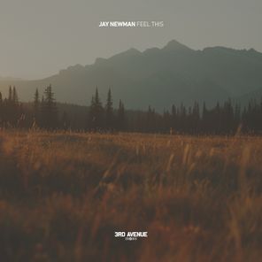 Jay Newman – Feel This