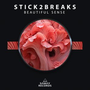 Stick2Breaks – Beautiful Sense