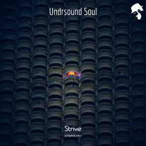 Undrsound Soul – Strive