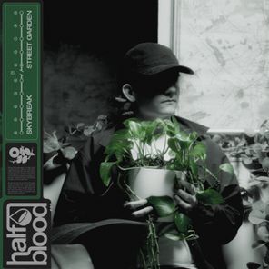 Skybreak – STREET GARDEN