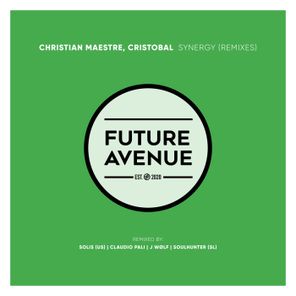 SoulHunter (SL), Christian Maestre – Synergy (Remixes)