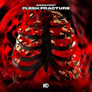Shockpoint – Flesh Fracture