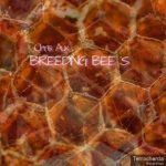 Chris Aux – Breeding Bees