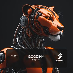 Goodiny – Rock It