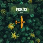 Jacquard – Ferns